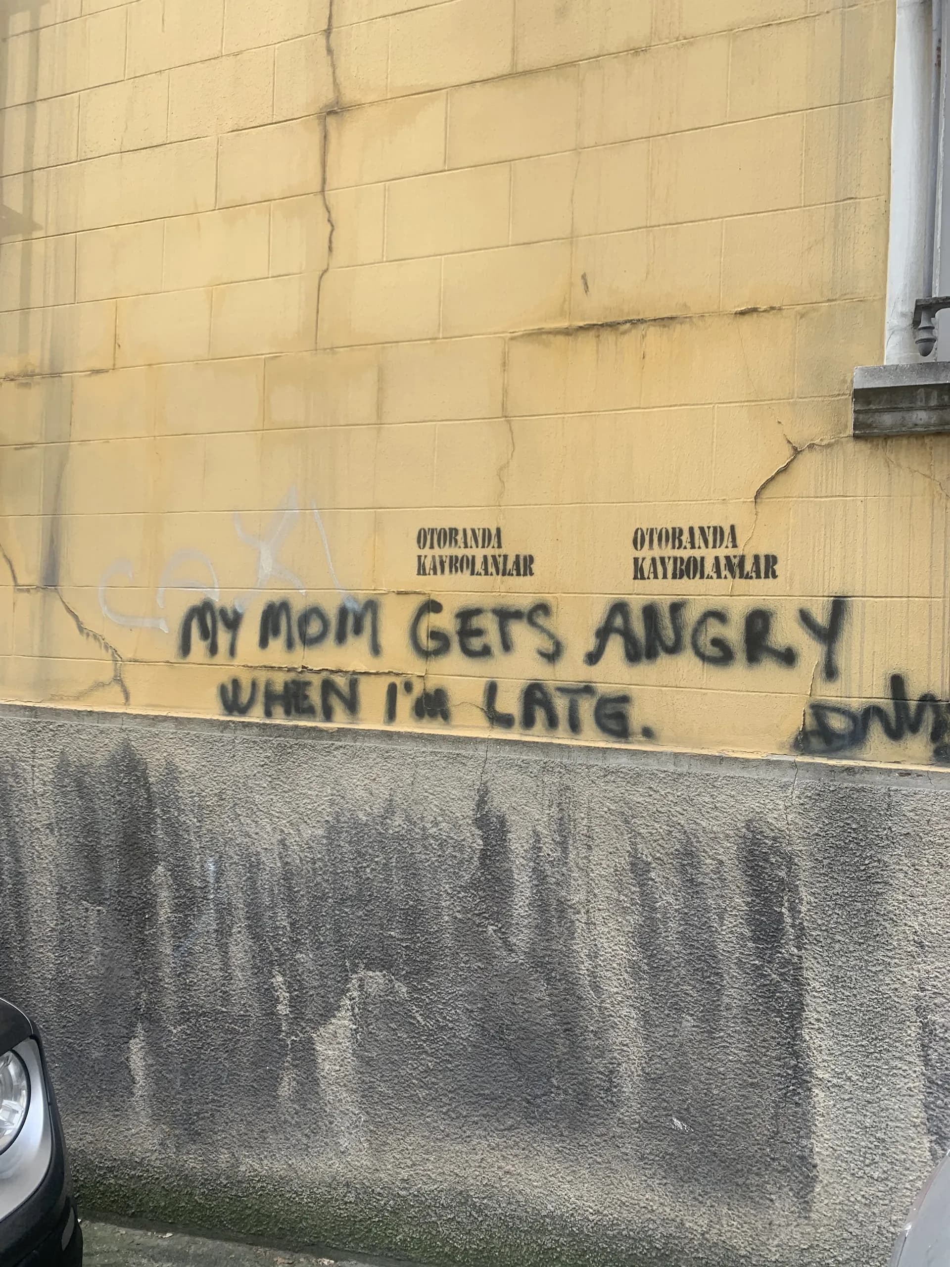 Graffiti in Istanbul, Turkey. Source: Eugene Yiu Nam Cheung