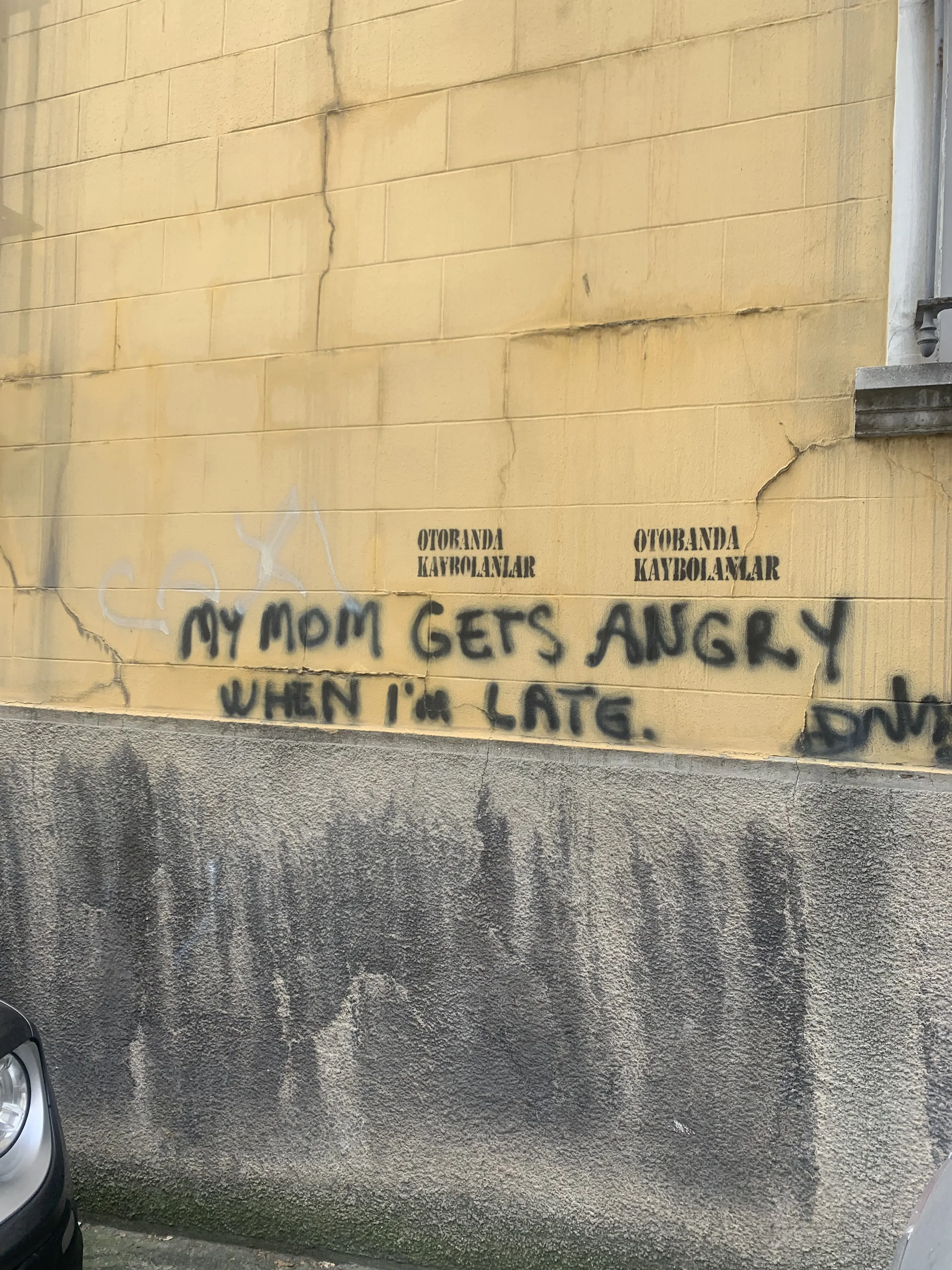 Graffiti in Istanbul, Turkey. Source: Eugene Yiu Nam Cheung